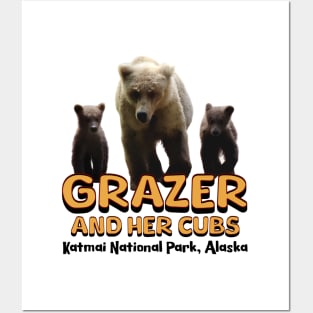 Bear Grazer and her cubs Posters and Art